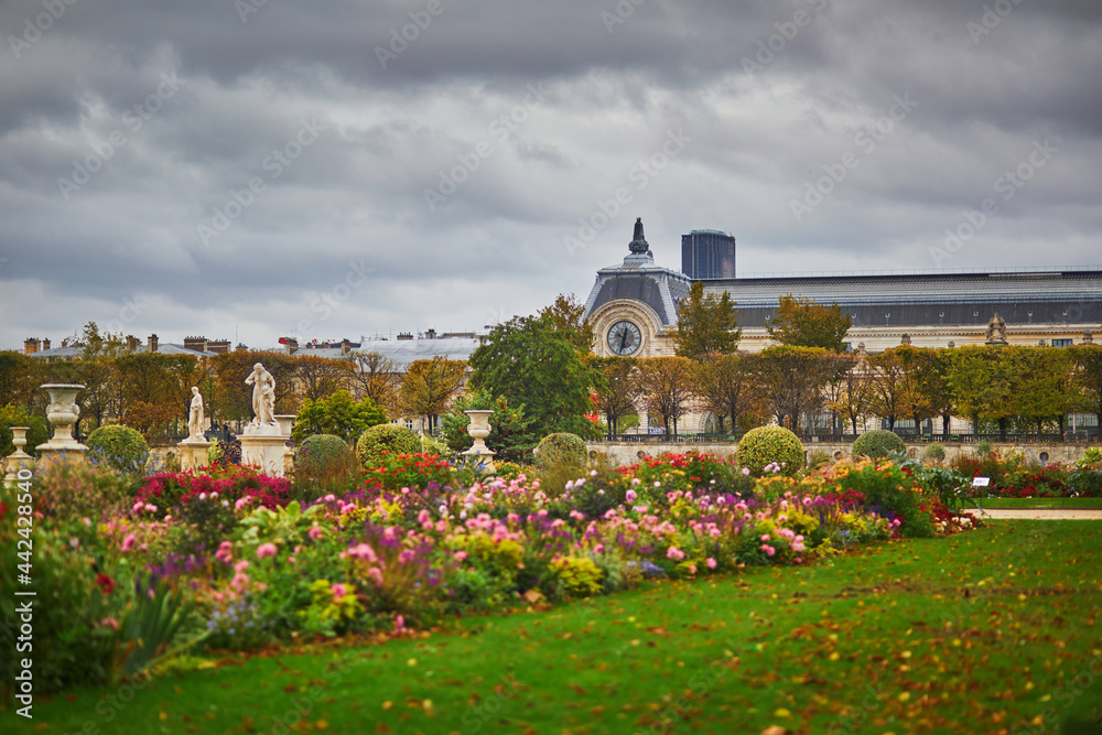 Beautiful fall day in Tuileries garden, Paris