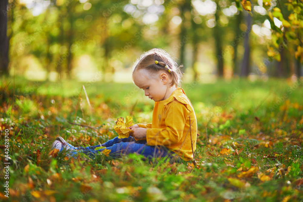 Adorable toddler girl sitting on the ground and playing with sticks and yellow fallen leaves in autumn park Adorable toddler girl sitting on the ground and playing with sticks and yellow fallen leaves in autumn park