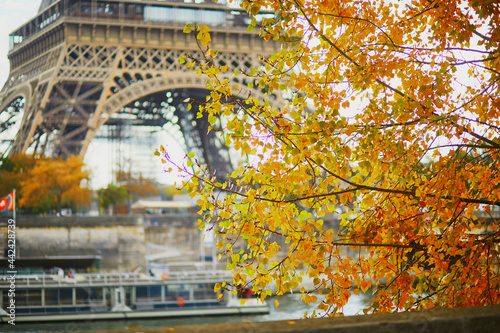 Scenic view of the Eiffel tower with yellow autumn leaves