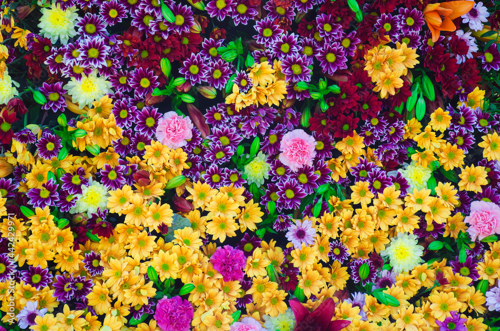 Summer blossoming colorful flowers wall background. Bunch of beautiful mixed flowers. Selective focus