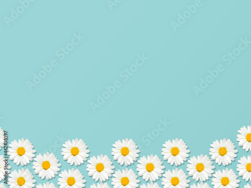 Chamomiles Flat lay photo with copy space Many daisy flowers along bottom edge of light blue table