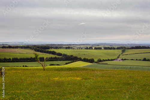 View of the landscape from Old Winchester Hill in summer in Hampshire, England