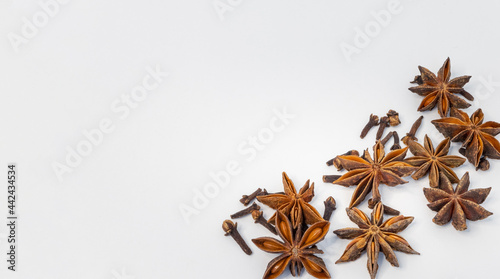 anise isolated on a white background. spices. background for text.
