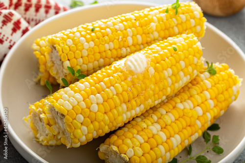 Cooked corn on the cob with salt and butter