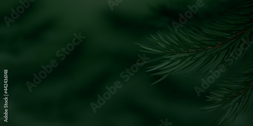 Coniferous twigs closeup. Dark nature background. Realistic looking pine or spruce branches on blurred background. Lush vegetation in a coniferous forest. Copy space. Vector illustration.