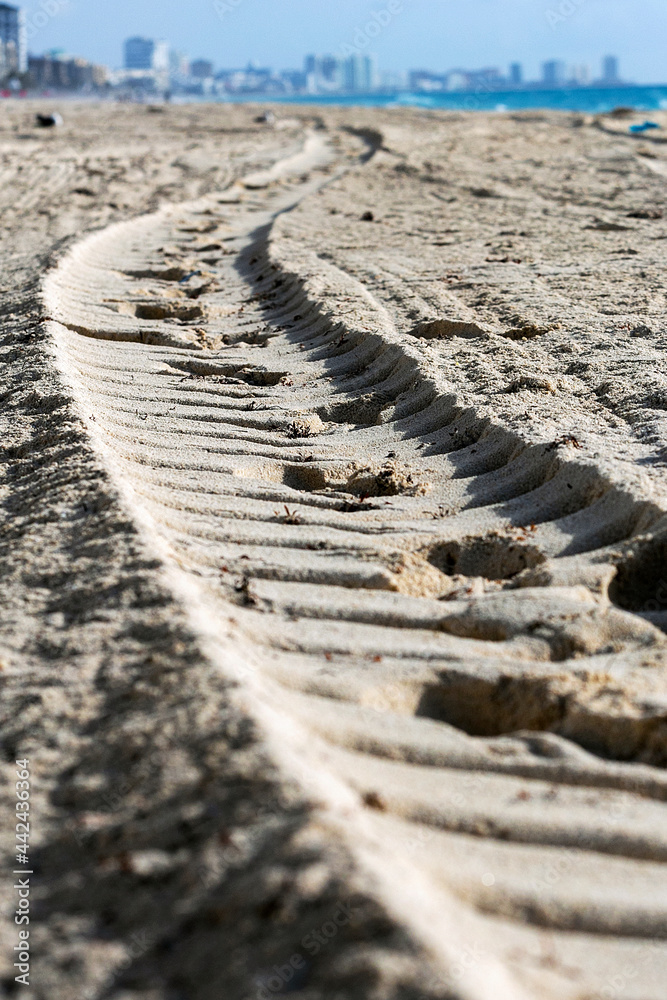 tire tracks in sand tire tracks in sand