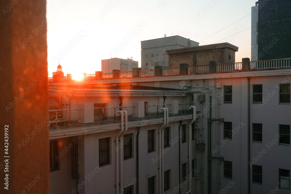 Fototapeta premium sun light