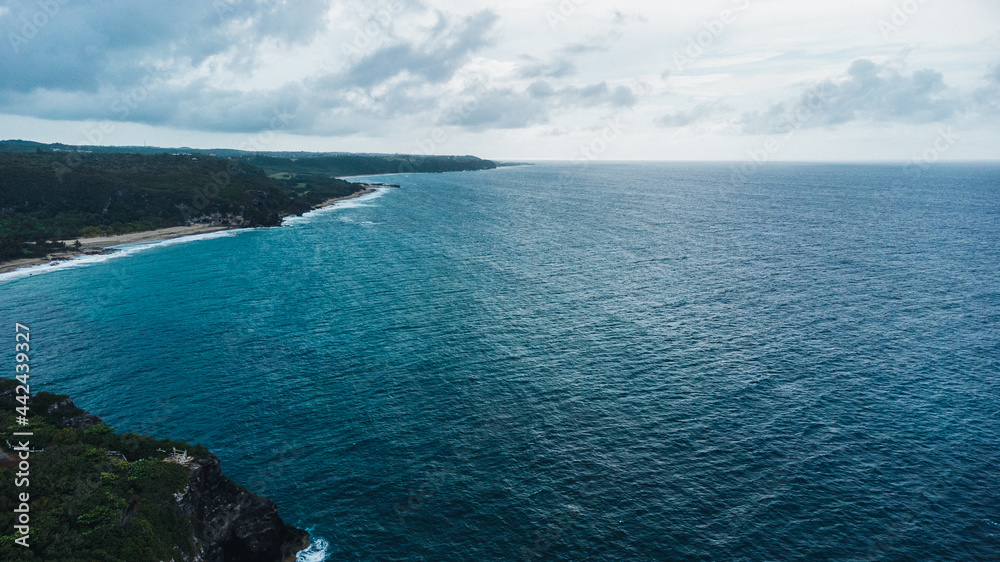Aerial view of Puerto Rican Beach - drone view of ocean and coast