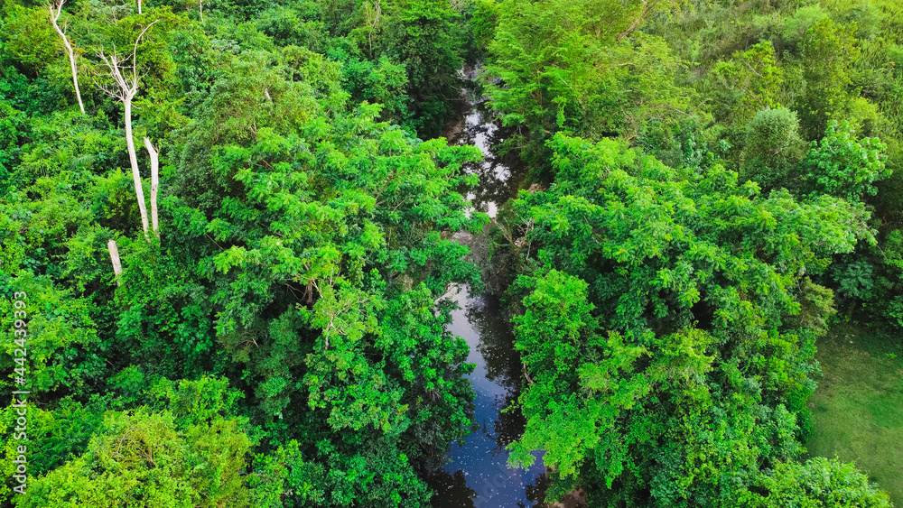 drone shot of a river and trees drone shot of a river and trees