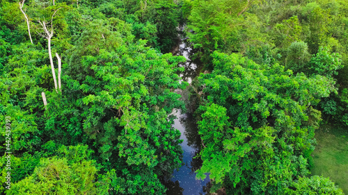 drone shot of a river and trees
