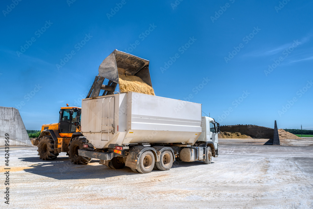 wheel bucket loader loading truck