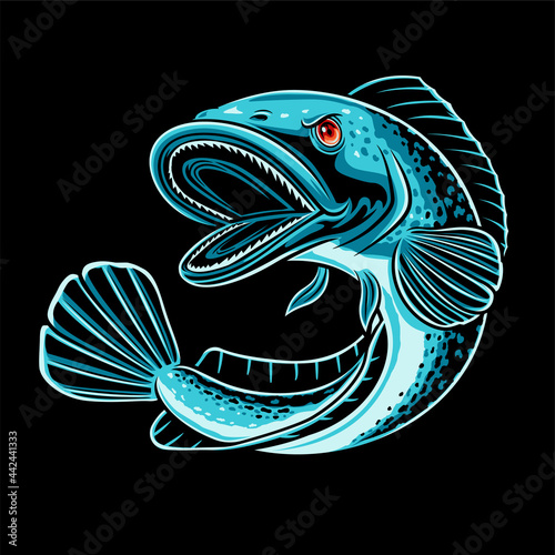 Snake Head Fish illustration photo