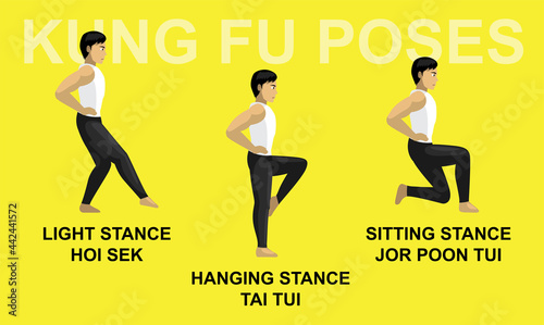 Kung Fu Poses Hanging Stance Tai Tui Light Hoi Sek Sitting Jor Poon Tui Cartoon Vector Illustration