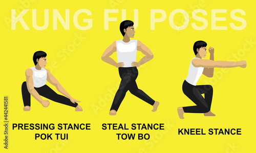 Kung Fu Poses Pressing Stance Pok Tui Steal Stance Tow Bo Kneel Cartoon Vector Illustration