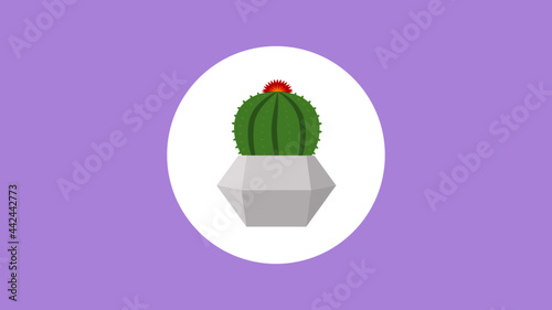 Cactus con maceta fondo lila