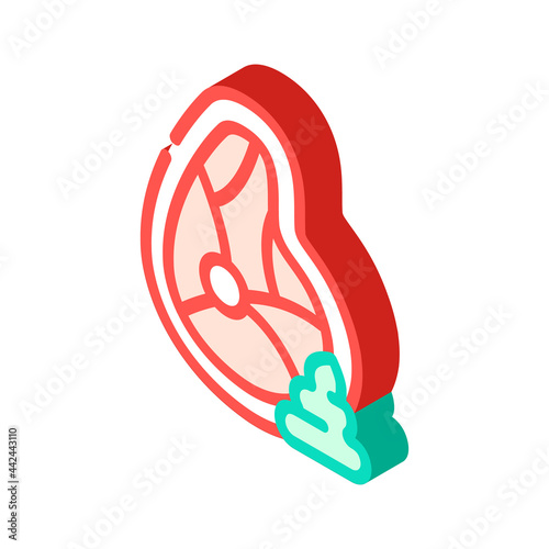 meat wasabi isometric icon vector. meat wasabi sign. isolated symbol illustration