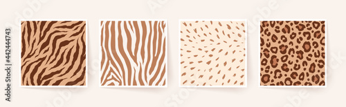 Set of animal monochrome seamless patterns. Vector animal skin prints. Fashion stylish organic textures.