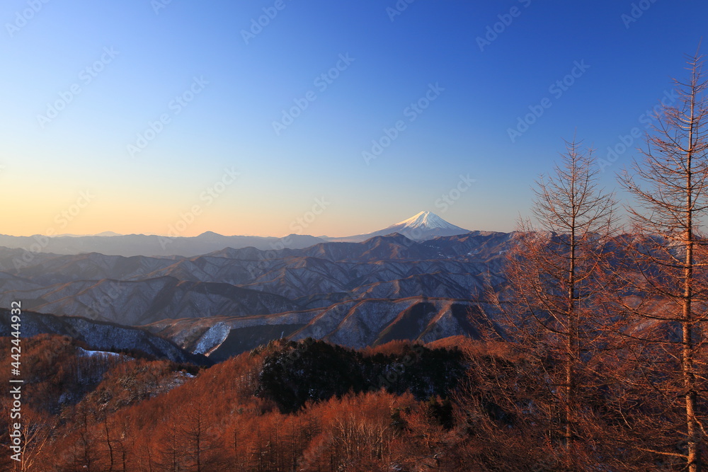 Obraz premium Mt.Kumotori, winter 冬の雲取山トレッキング