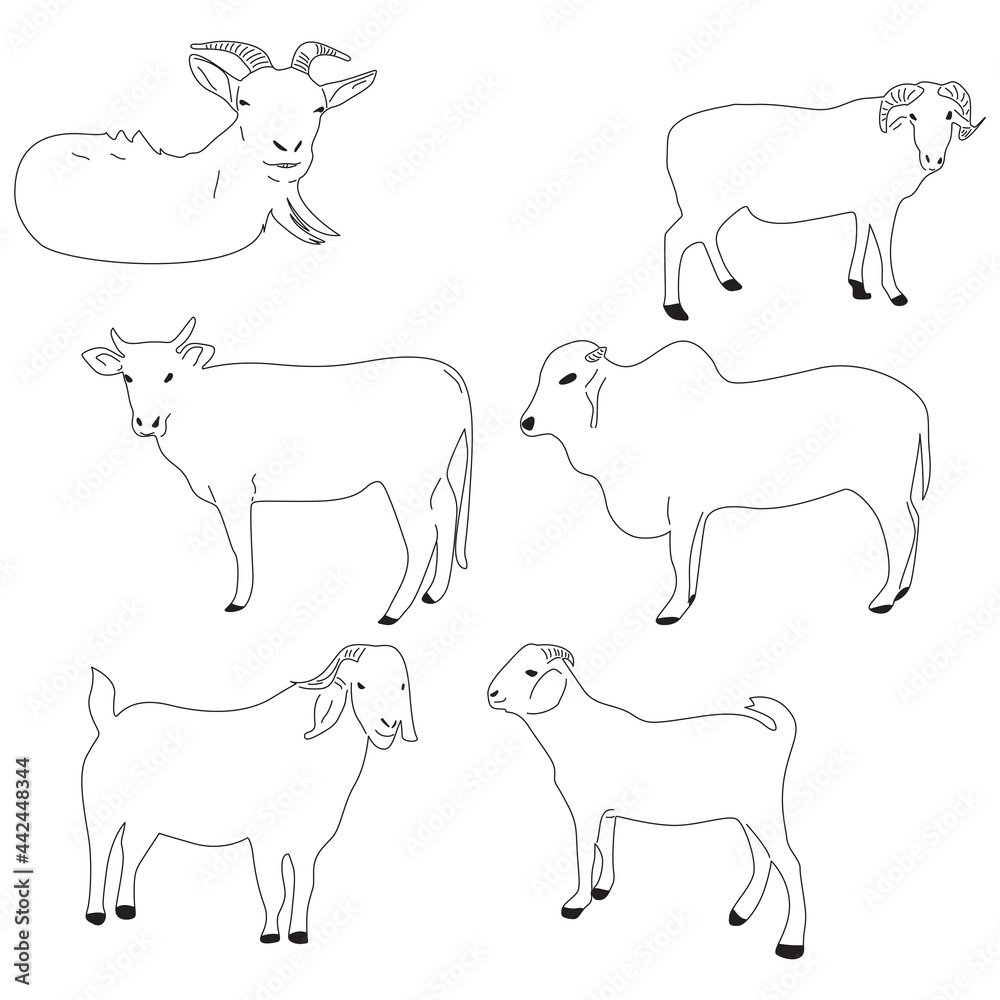 vector of farm animals for the sacrifice of Eid al-Adha. senior line of goats, cows, buffalo, sheep