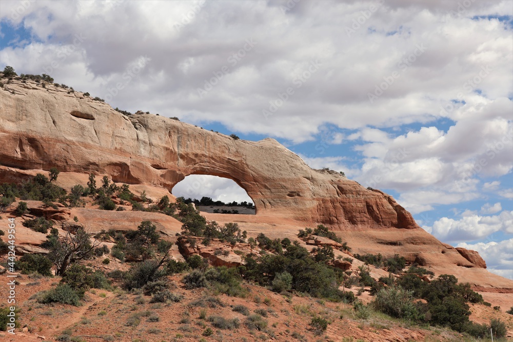 Fototapeta premium Wilson Arch Located Between Moab and Monticello, Utah