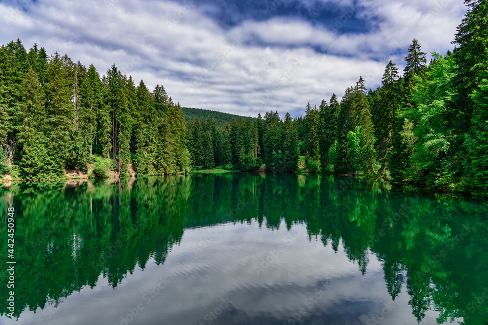 Fototapeta premium Schalker Teich im Harz