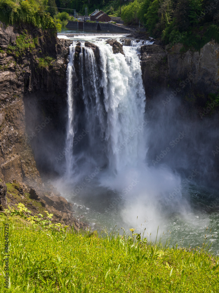 Fototapeta premium Snoqualmie falls in summer from upper view at Washington State.