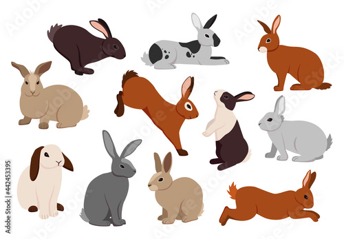 Cartoon hare. Cute bunny in different poses. Fluffy farm rabbits jumping and running. Funny pets sitting or lying. Activities of adorable domestic animals. Vector furry creatures set