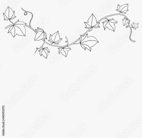 Simplicity ivy freehand drawing flat design.