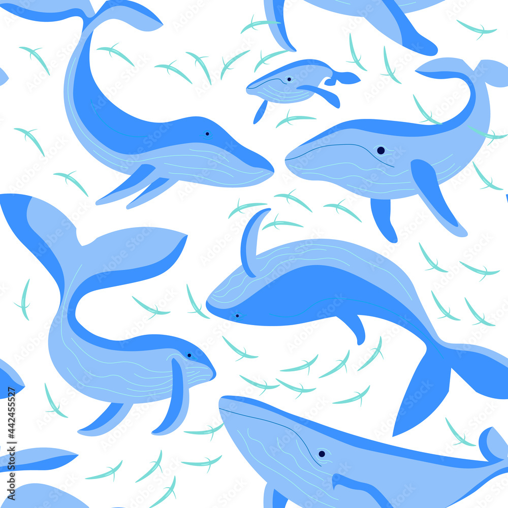 Seamless underwear pattern with blue whales on white background Seamless underwear pattern with blue whales on white background