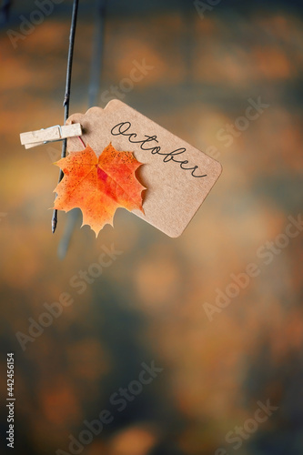 autumn natural background. october time concept. orange maple leaf and paper tag, forest landscape. fall season  photo