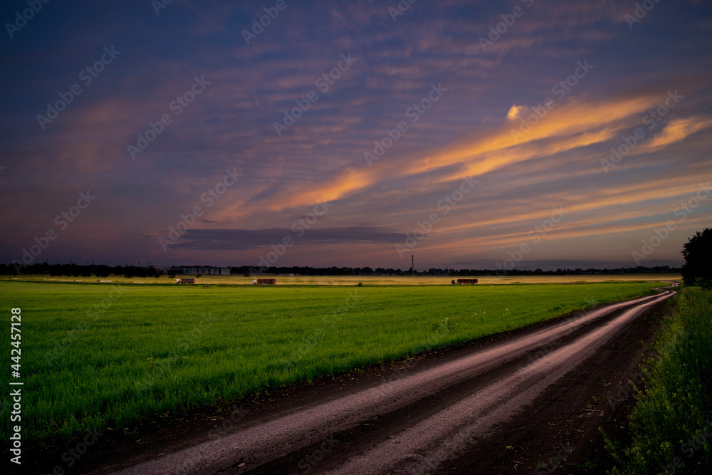 Obraz premium sunset over the field