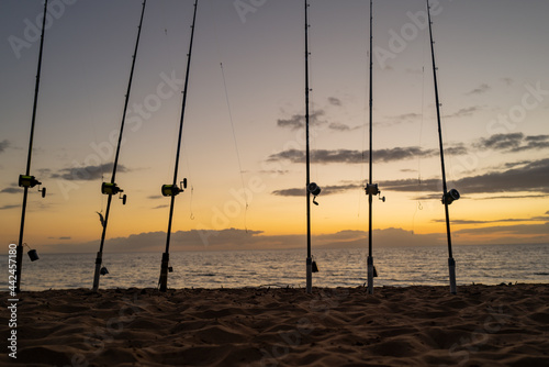 Sea fishing reel during sunrise. Fishing rods for big fich. photo