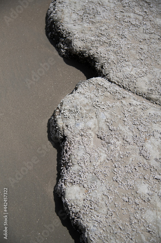 rocks on the beach