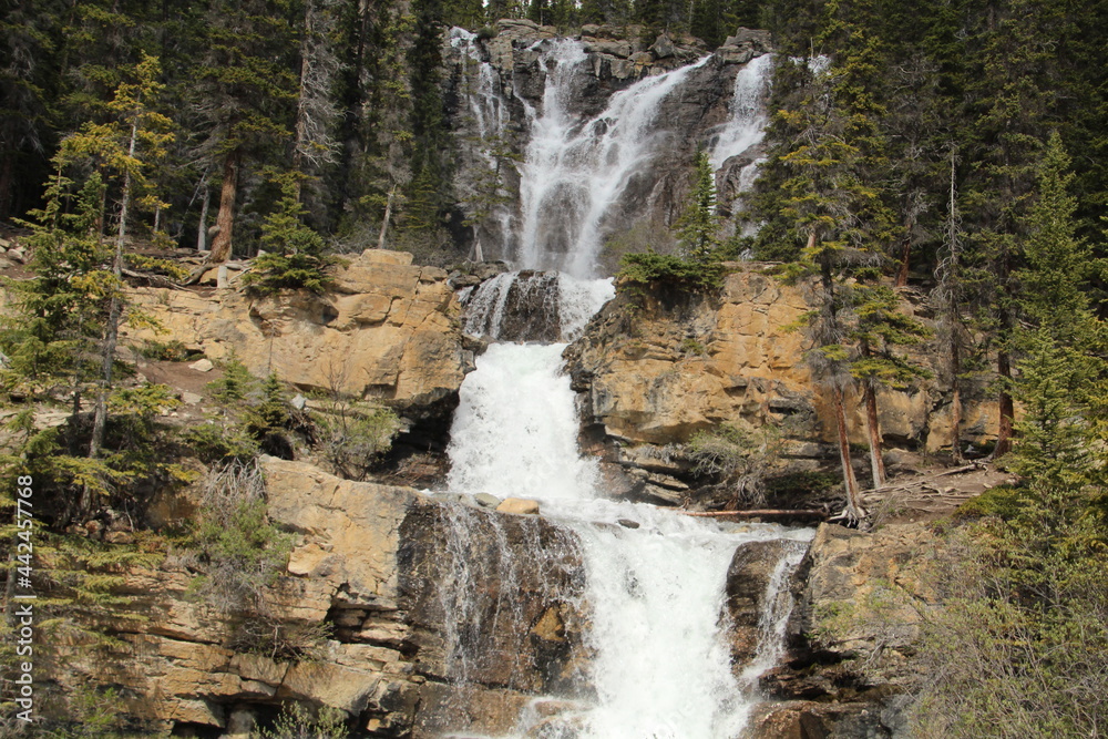 Obraz premium Beauty Of Tangle Falls, Jasper National Park, Alberta