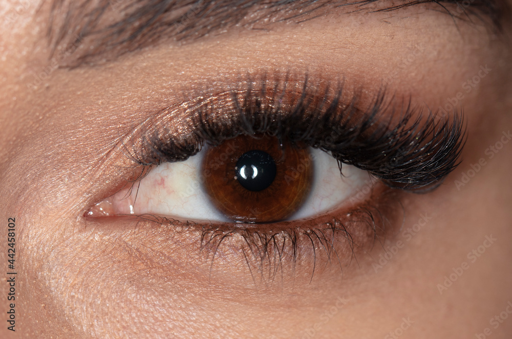 Close-up human eye, macro photography of pupils Close-up human eye, macro photography of pupils
