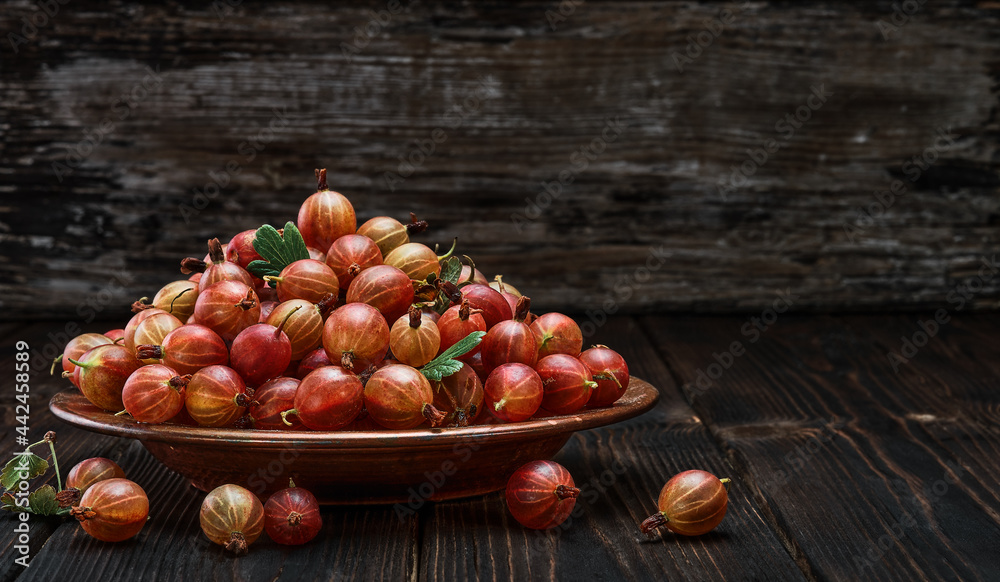 Gooseberries fresh harvest in a copper plate. A ripe red gooseberry crop is laid out on a rustic table in drops of water. Close-up with copy space Gooseberries fresh harvest in a copper plate. A ripe red gooseberry crop is laid out on a rustic table in drops of water. Close-up with copy space