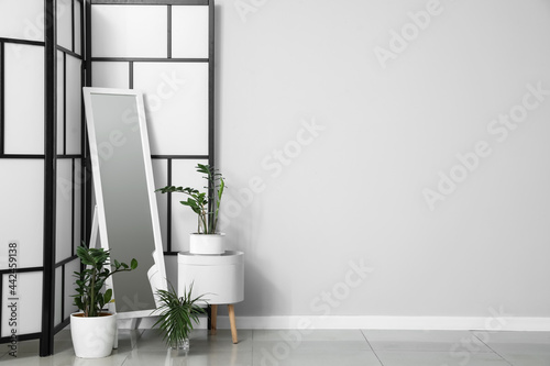 Folding screen with mirror and houseplants near light wall