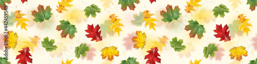 Autumn leaves seamless pattern