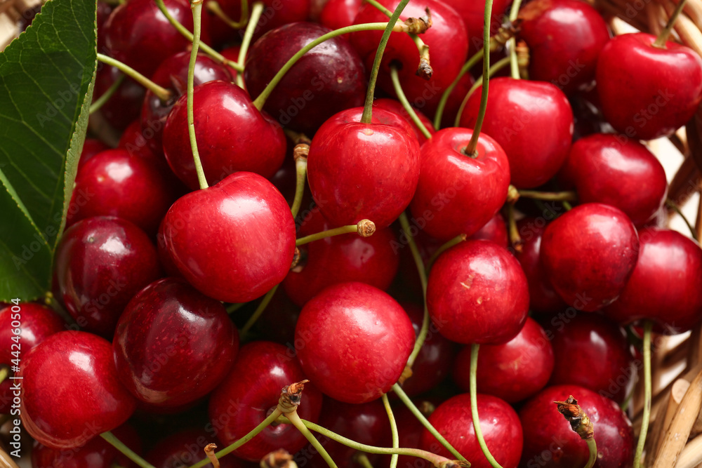 Basket with tasty ripe cherry, closeup Basket with tasty ripe cherry, closeup