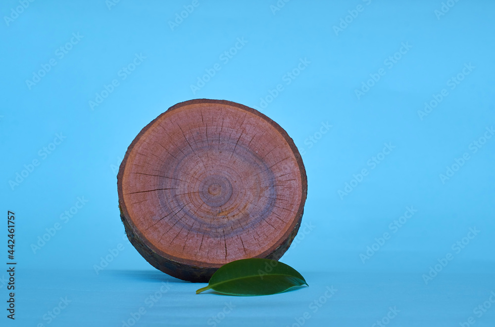 Round wooden stand for hot food and a green ficus leaf on a blue background.