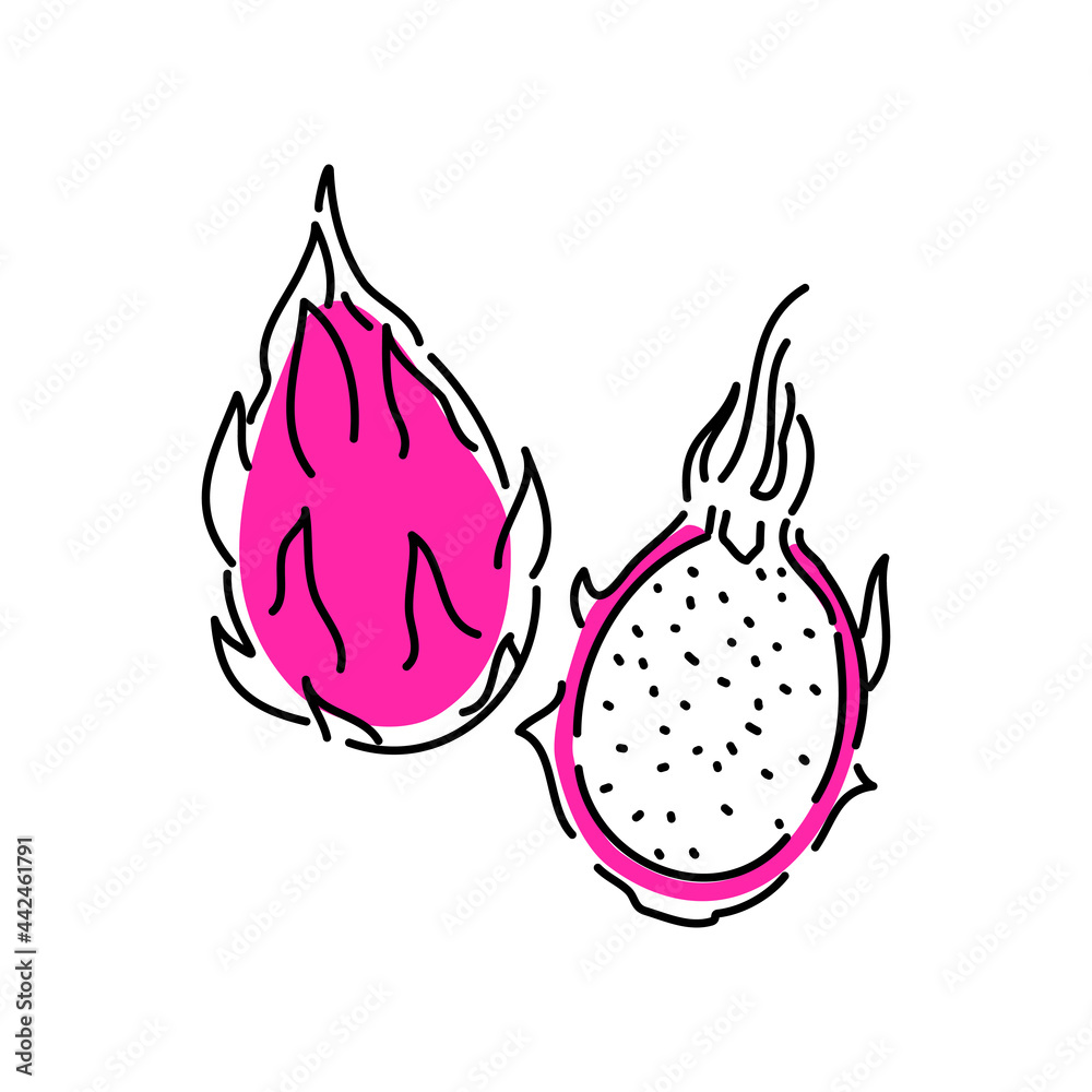 Dragon fruit is whole and half. Summer tropical fruits, flat icon . Sketch of a vector illustration on a white background Dragon fruit is whole and half. Summer tropical fruits, flat icon . Sketch of a vector illustration on a white background