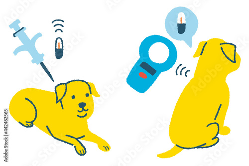マイクロチップを装着する犬と読み取る犬のイラスト