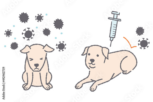 ウィルスに感染する犬と注射をする犬のイラスト