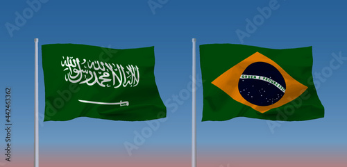 サウジアラビアとブラジルの国旗