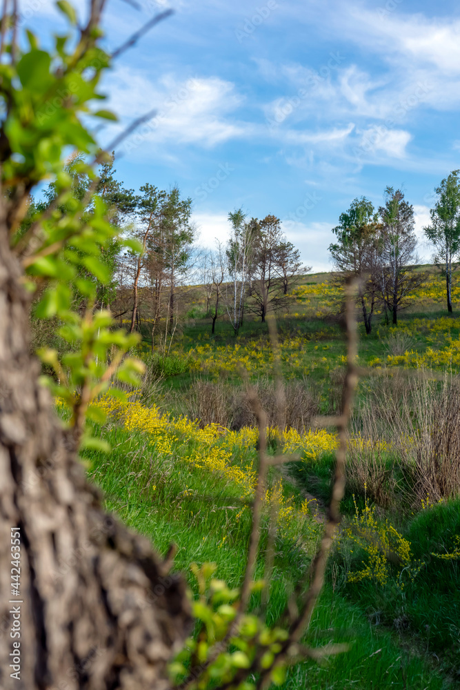 Green slopes in spring near Vasylkiv, Ukraine Green slopes in spring near Vasylkiv, Ukraine