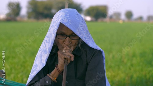 Medium shot of an elderly grandmother from an Indian village smoking hookah. Aged North Indian woman with dupatta on head enjoying having hookah with a green agricultural field all around photo