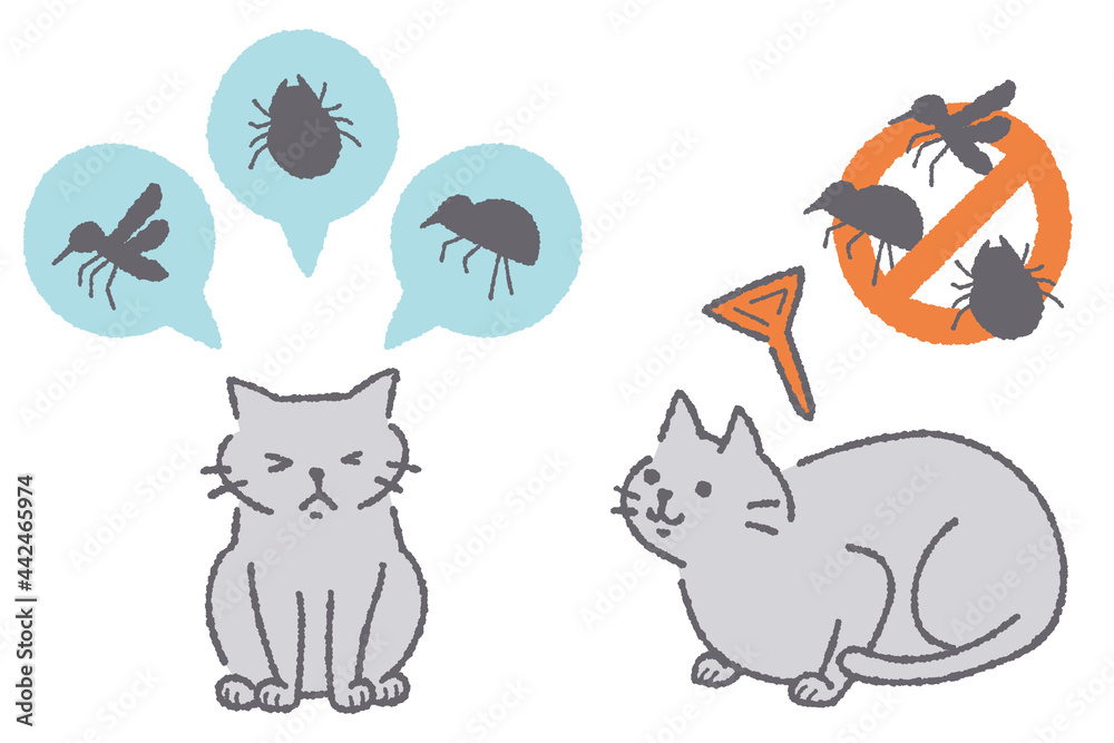 寄生虫予防する猫のイラスト Stock Vector Adobe Stock