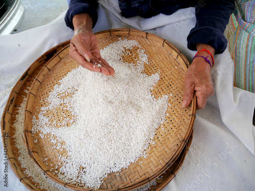 Canvas Print Farmer selects the impurity out off the grain jasmine rice seed by traditional hand process