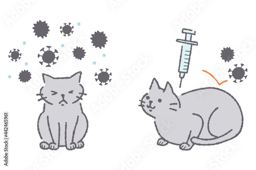 ウィルスに感染する猫と注射をする猫のイラスト