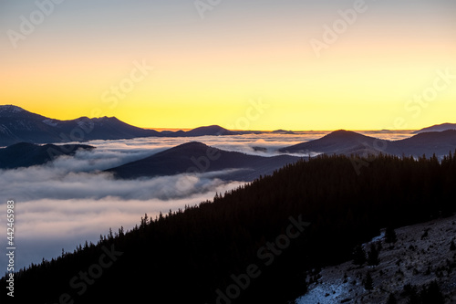 Distant dark mountain hills covered with dense pine forest surrounded with white foggy clouds at sunrise.